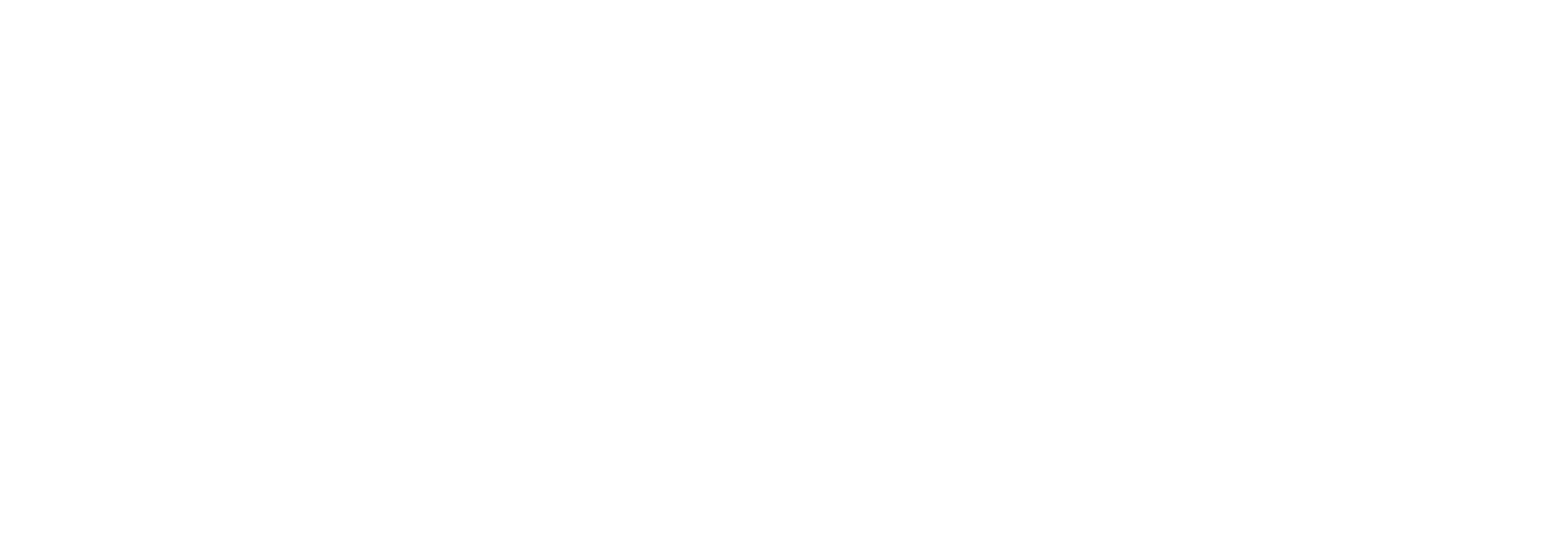 DDU logo